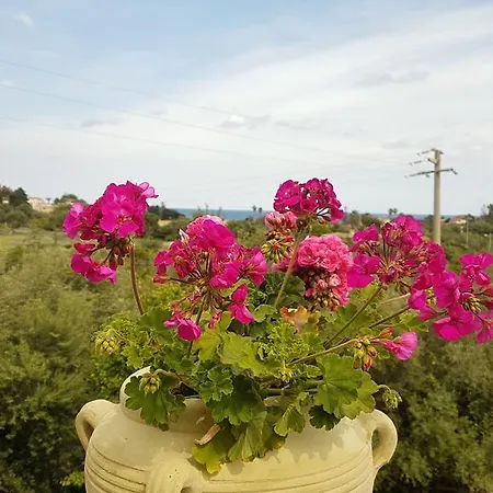 Casale Siciliano Di Miryam Tiralongo Bed & Breakfast Avola